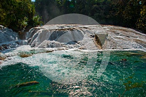 Amazing Turquoise-blue water of the waterfall Agua Azul in Chiapas, Palenque, Mexico.