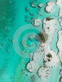 Amazing turquoise color of water in the Lagoon of Seven Colors Bacalar, drone shoot, Mexico