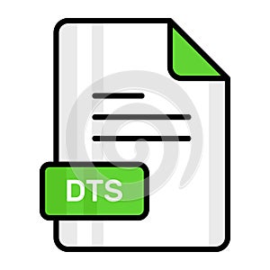 An amazing vector icon of DTS file, editable design