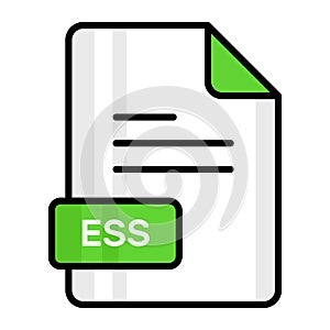 An amazing vector icon of ESS file, editable design