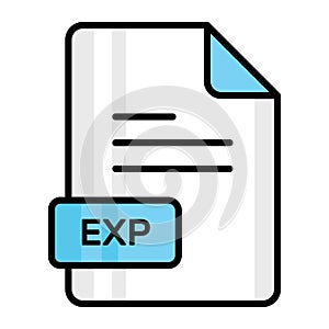 An amazing vector icon of EXP file, editable design