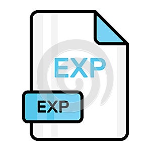 An amazing vector icon of EXP file, editable design