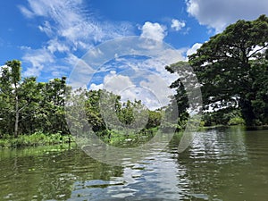 Amazing and Very Beautiful River In Bangladesh. Very Charming Lake, Forest and Sky With Clouds