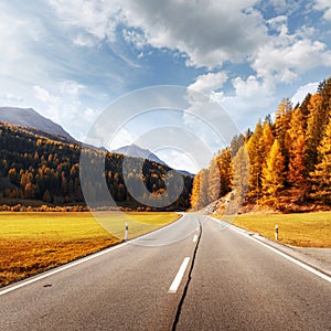 Amazing view of alpine road, orange larch forest and high mountains