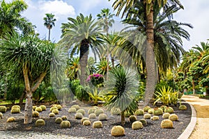 Amazing view of cactus park area in Garcia Sanabria park. Locat