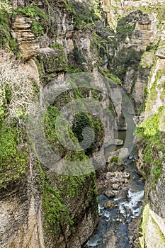 Amazing view of the canyon or Tajo de Ronda with the GuadalevÃ­n River