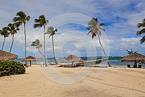 Amazing view of Caribbean beach with white sand and beautiful exotic palm trees, Dominican Republic, Caribbean Islands