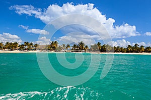 Amazing view of Caribbean beach with white sand and beautiful exotic palm trees, Dominican Republic, Caribbean Islands