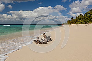 Amazing view of Caribbean beach with white sand and beautiful exotic palm trees, Dominican Republic, Caribbean Islands