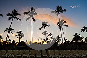 Amazing view of Caribbean beach with white sand and beautiful exotic palm trees, Dominican Republic, Caribbean Islands