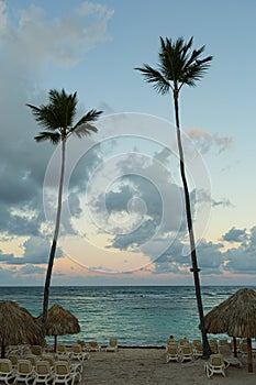 Amazing view of Caribbean beach with white sand and beautiful exotic palm trees, Dominican Republic, Caribbean Islands