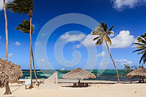 Amazing view of Caribbean beach with white sand and beautiful exotic palm trees, Dominican Republic, Caribbean Islands