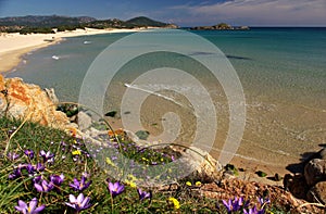 Amazing view - Chia Beach - Sardinia