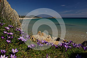 Amazing view - Chia Beach - Sardinia