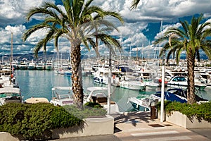 Amazing view of the city of Cannes, France, palm trees, yachts