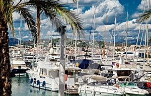 Amazing view of the city of Cannes, France, palm trees, yachts