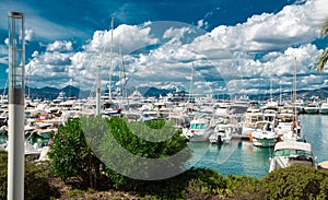 Amazing view of the city of Cannes, France, palm trees, yachts