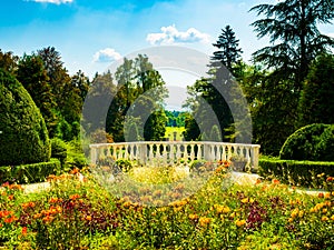 An amazing view in a colorful flower garden