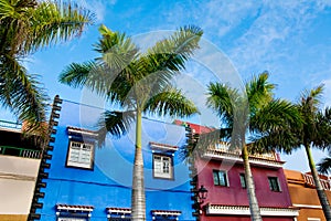 Amazing view on colourful houses and palm trees on street. Location: Puerto de la Cruz town, Tenerife, Canary Islands. Artistic p