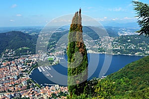 Amazing view of Como Lake from Brunate, with tree in the middle, Como lake and the city