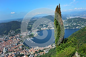 Amazing view of Como Lake from Brunate, with tree in the middle, Como lake and the city