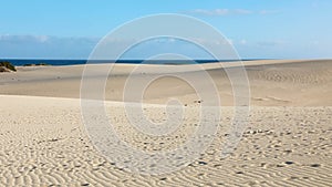 Amazing view of Corralejo sand dunes with blue sea on the background, Fuerteventura Island, Spain