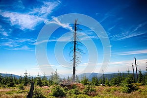 Amazing view of czech nature in Medvedin in Giant Mountains in Czech republic