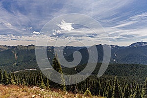 Amazing view of forest and mountains in Mt. Rainier National Park