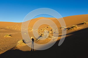 Amazing view of the great sand dunes in the Sahara Desert, Erg Chebbi, Merzouga, Morocco