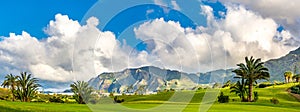 Amazing view of green lawn of a golf course with palm trees, mountains on the background. Location: Buenavista del Norte, Tenerife