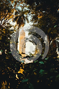 Amazing view of the iconic Cairo Tower, framed between the trees in a park near the tower. Shining bright golden yellow as its
