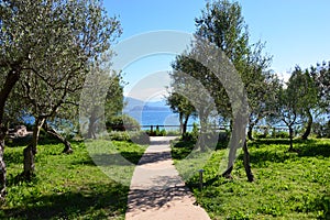 Amazing view of Lake Garda from the hills of the park Parco Pubblico Tomelleri in Sirmione town, Italy