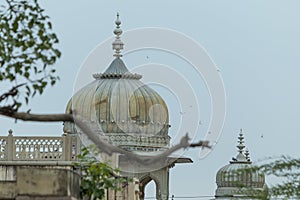 Amazing view of memorial grounds to Maharaja Sawai Mansingh II and family constructed of marble. Gatore Ki Chhatriyan, Jaipur,