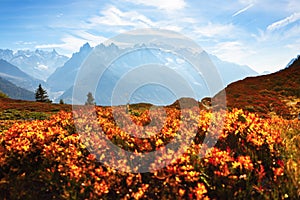 Amazing view on Monte Bianco mountains range with Monblan on background