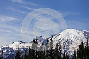 Amazing view of Mt. Rainier in August