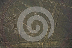 Amazing view of the nazca lines with geoglyphs like the condor, the monkey, humminbird or the spider