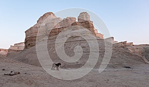 Amazing view of a rosy deserted rocky landscape.