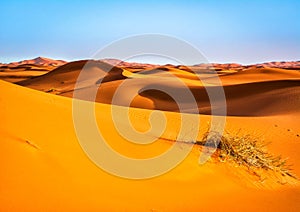 Amazing view of sand dunes in the Sahara Desert. Location: Sahara Desert, Merzouga, Morocco. Artistic picture. Beauty world.