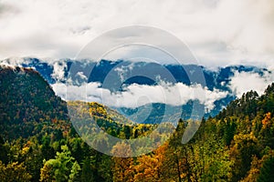 Amazing view of Slovenian forests near Bled, Slovenia.