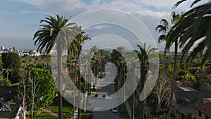 Amazing view of street in residential borough in tropical destination. Row of palm trees in Beverly Hills.