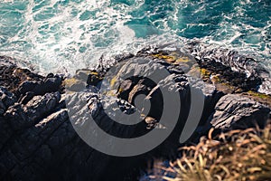 Amazing View to the Cliffs and Pacific Ocean Waves near Vina del Mar, Chile