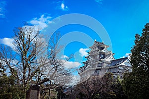 Amazing View to the Japanese Castle via trees under Blue Cloudy Sky