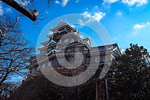 Amazing View to the Japanese Castle via trees under Blue Cloudy Sky