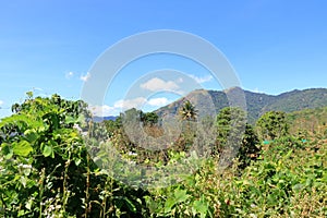 Amazing view to the southern tip of the mighty western ghats. Paithalmala is situated in Kannur district of Kerala state in India