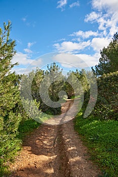 Trail over the cliffs of Praia Joao de Arens beach photo