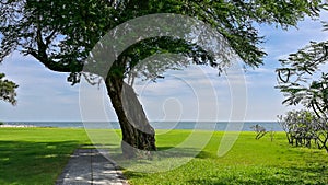 Amazing view of walk way to the beach on ocean background