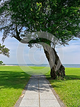 Amazing view of walk way to the beach on ocean background