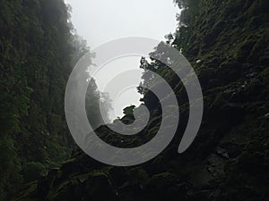 Amazing view when walking in the rainforest, Costa Rica. Bonitos paisajes en Costa Rica. photo