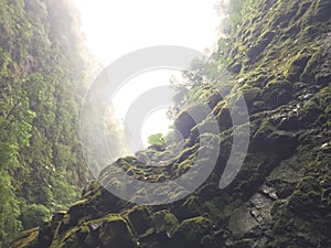 Amazing view when walking in the rainforest, Costa Rica. Bonitos paisajes en Costa Rica. photo