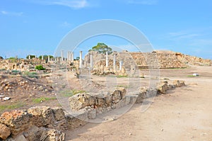 Amazing view of well preserved ruins of ancient city Salamis located near Famagusta, Turkish Northern Cyprus